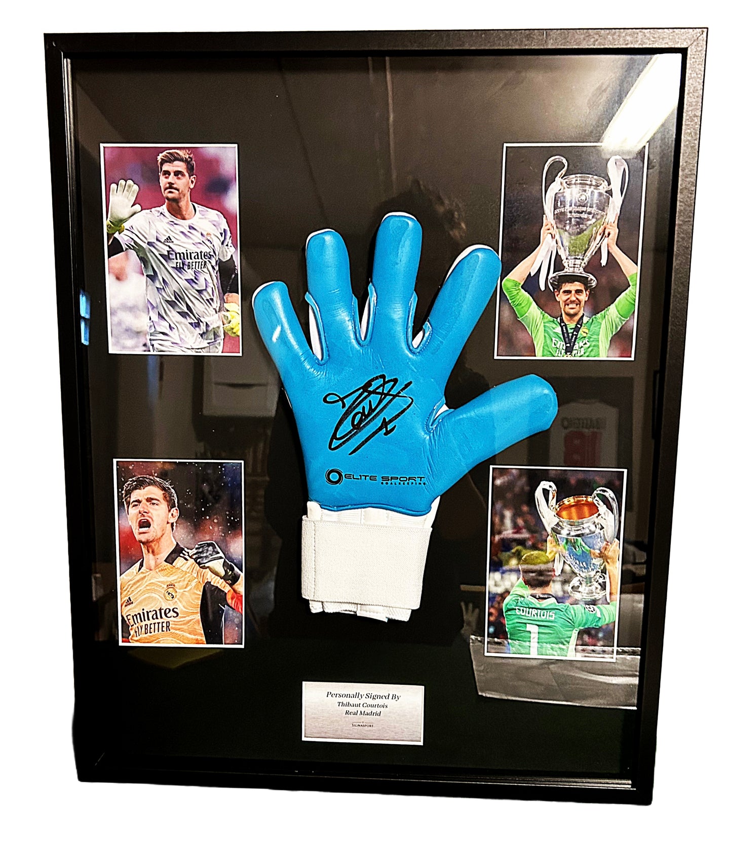 Courtois Blue - signed and framed keeper glove