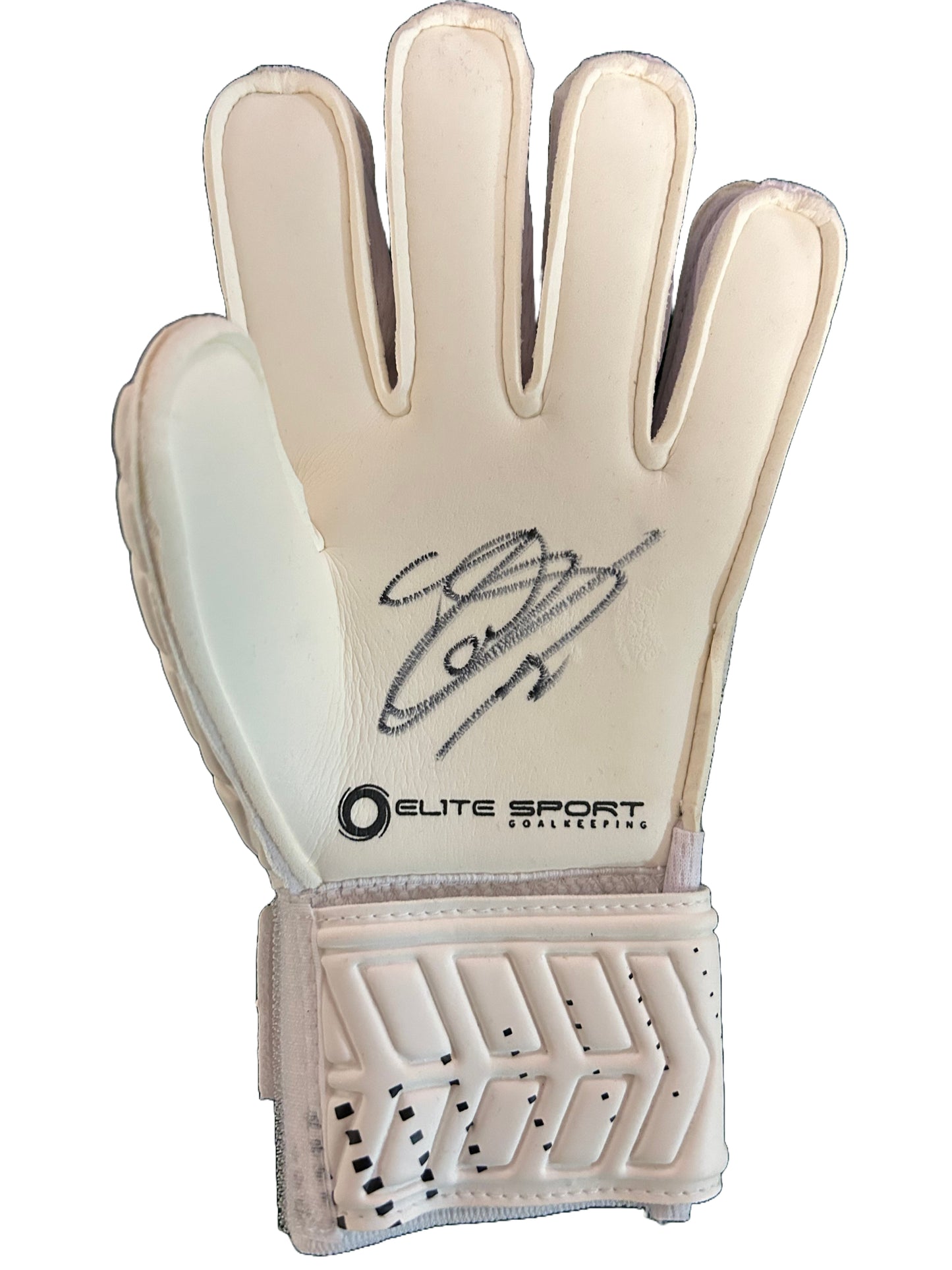 Courtois - Signed glove