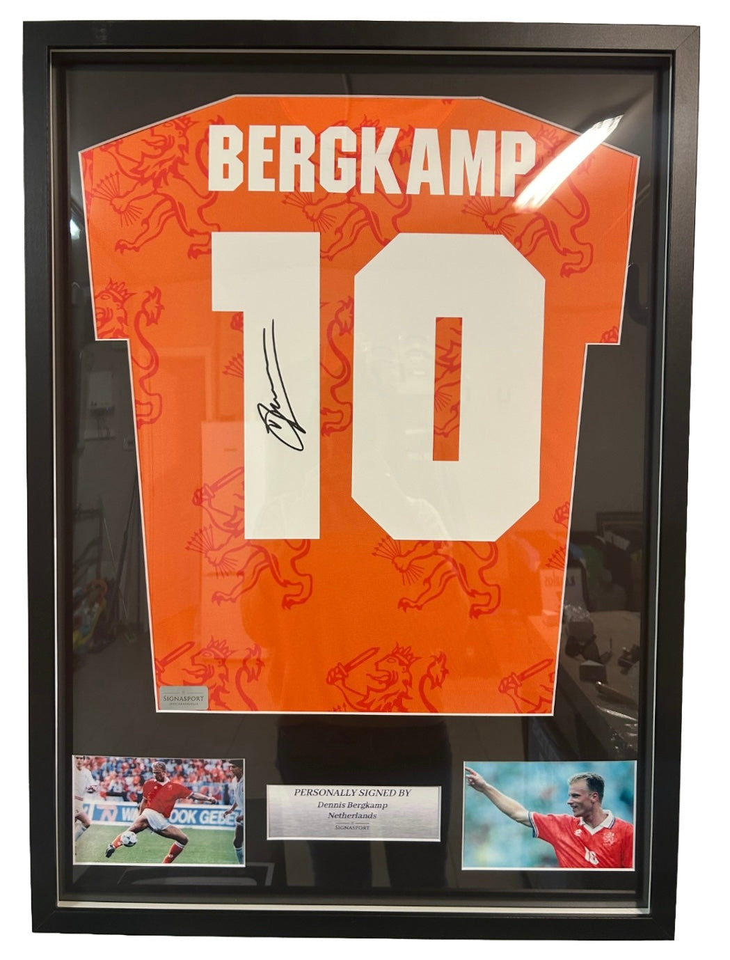 Bergkamp - Nederland