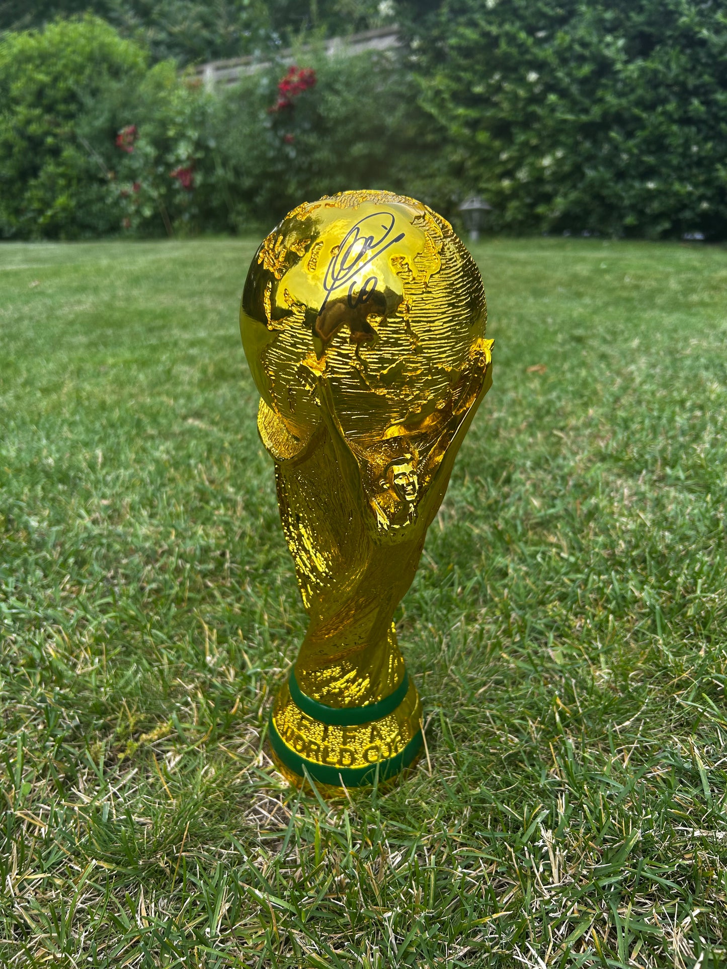 Totti World Cup